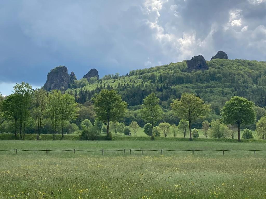 Ferienwohnung Augenblicke Olsberg Esterno foto